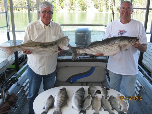 Nice Striped Bass